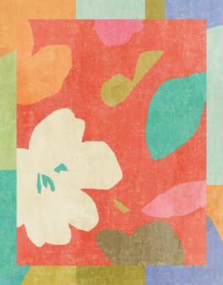 N738D - Nicoll, Suzanne - Flower Power 1