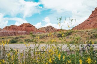 Q50D - Quintero, Sonja - New Mexico Drive