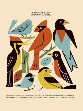 T868D - Thull, Renea L. - Backyard Birds of North America