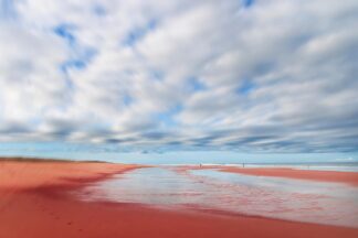 W1564D - Wstenhagen, Dirk - Tiny People No. 2