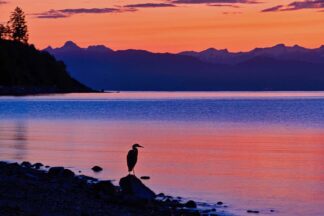 B4777D - Burdick, Chuck - Apricot Dawn