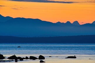 B4779D - Burdick, Chuck - Morning Pause