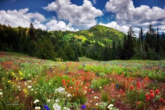 F1098D - Frates, Dennis - Echo Mountain