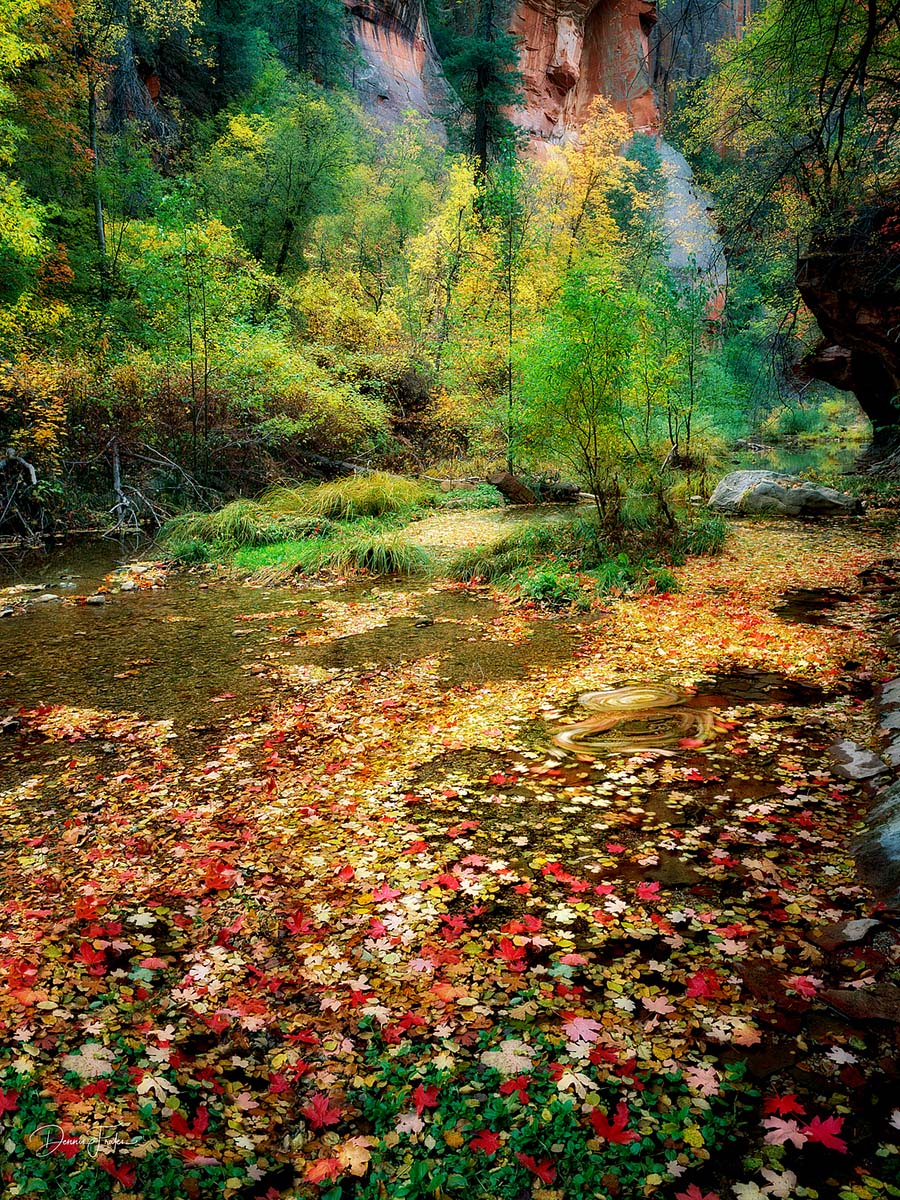 F1084D - Frates, Dennis - Fall Color and Creek F1084D - Frates, Dennis - Fall Color and Creek