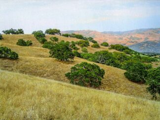 G2406D - Guion, William - Oak Savannah, Hazy Afternoon Light