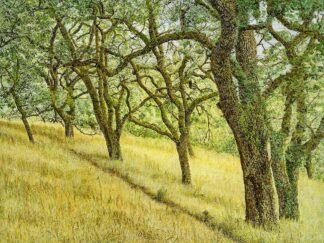 G2408D - Guion, William - Deer Trail Through Oak Grove