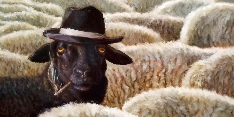 H2578D-detail-update-new-release-2025-10