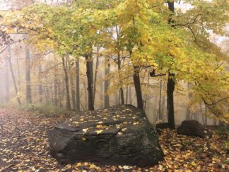 S2164D - Sinclair, Kelly - Resting Rock